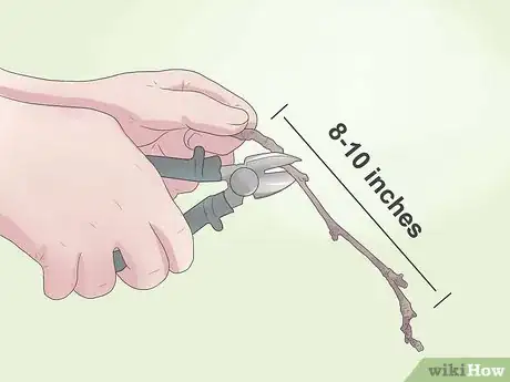 Image titled Create a Twig Wreath Step 4