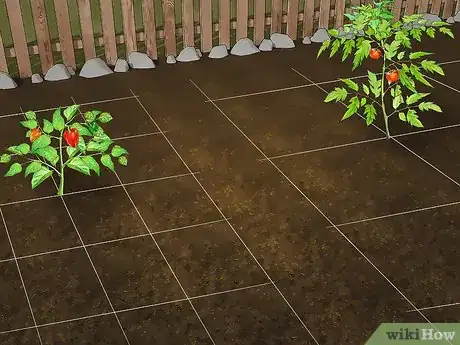 Image titled Plan a Vegetable Garden Step 7