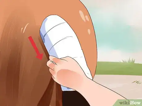 Image titled Apply a Horse Tail Bandage Step 8