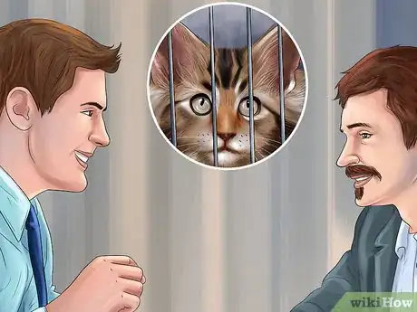 Image titled Find Safe Placement for Your Cat After Foreclosure Step 1
