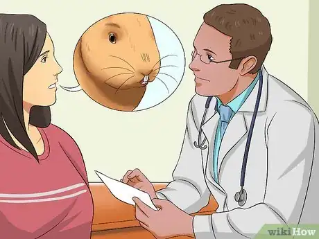 Image titled Diagnose Dental Problems in Rabbits Step 14