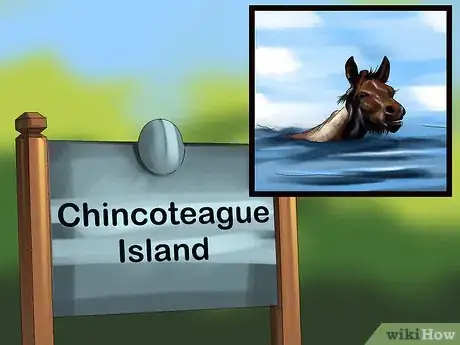 Image titled Choose a Vacation Destination for Animal Lovers Step 8