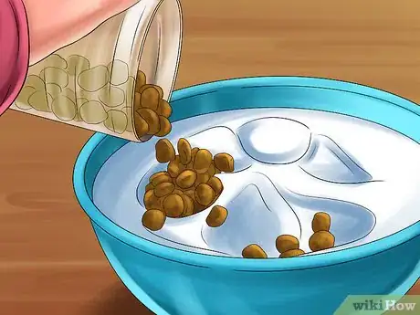 Image titled Feed a Cat Using Food Puzzles Step 2