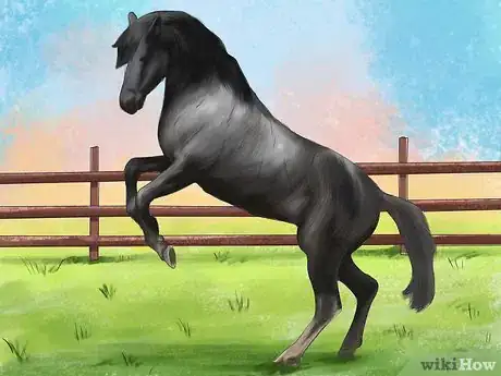 Image titled Feed a Horse Magnesium Step 12