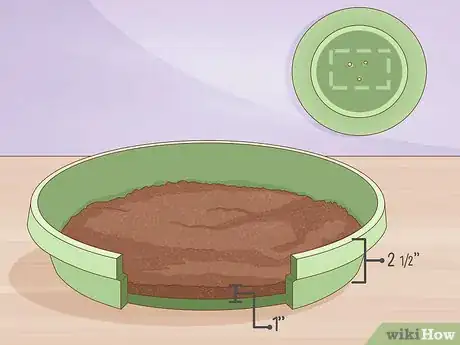 Image titled Grow Wheatgrass Without Soil Step 6