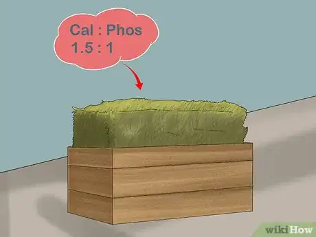 Image titled Give Your Horse the Right Supplements Step 3