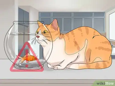 Image titled Take Care of an Aegean Cat Step 11