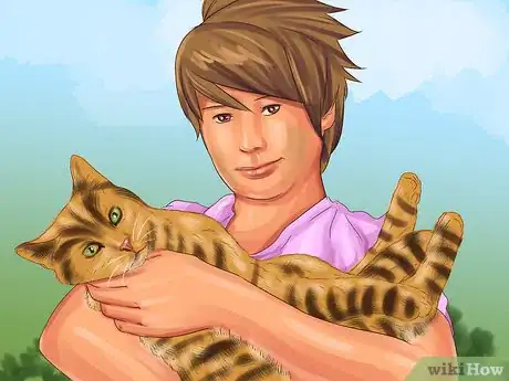 Image titled Care for Toygers Step 13