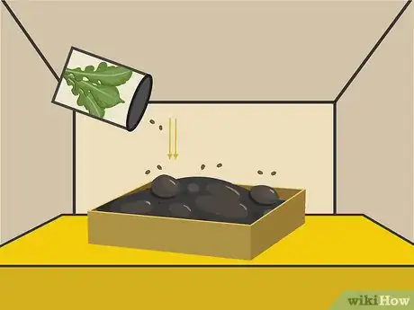 Image titled Plant Arugula Step 4