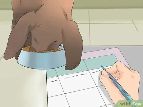 Image titled Care for German Shorthaired Pointers Step 3