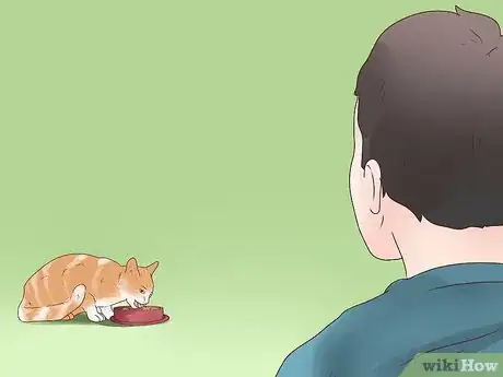 Image titled Treat Epilepsy in Cats Step 14