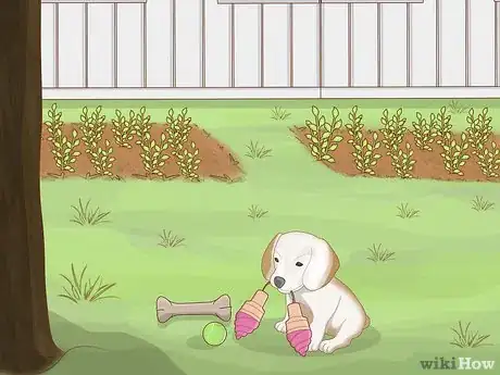 Image titled Garden when You Have a Dog Step 12