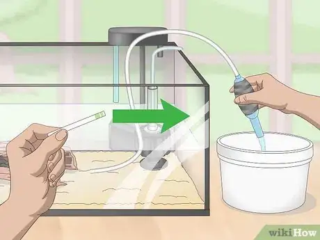 Image titled Do a Fishless Cycle Step 16