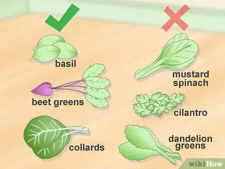 Image titled Supplement Nutrients in Your Chinchilla's Diet Step 10