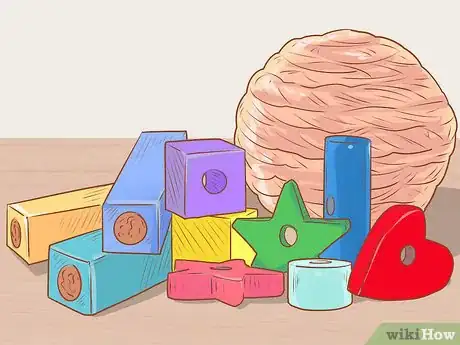 Image titled Care for a Crested Guinea Pig Step 7