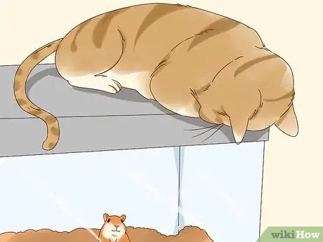 Image titled Keep a Gerbil Safe Around Other Pets Step 2