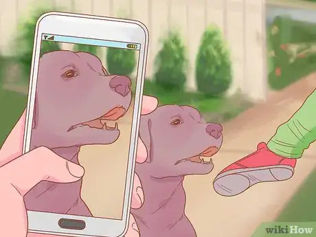 Image titled Save Dogs Step 13