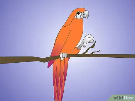 Image titled Teach Your Parrot to Wave Hello Step 9