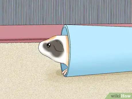 Image titled Avoid Scaring Your Guinea Pig Step 9