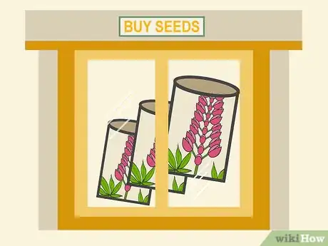 Image titled Grow Lupine Flowers Step 07