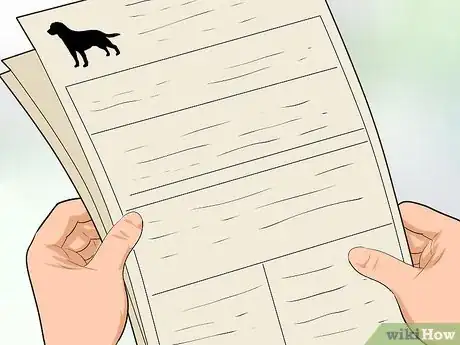 Image titled Buy a Labrador Retriever Puppy Step 15