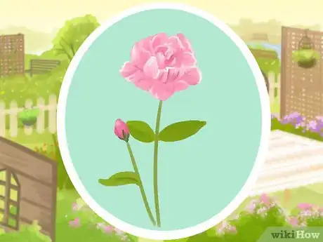 Image titled Plant a Deer‐Resistant Garden Step 19