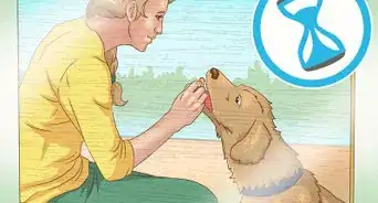 Mod Podge Pictures onto Wood