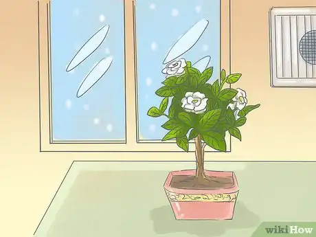 Image titled Raise Gardenias in Pots Step 15