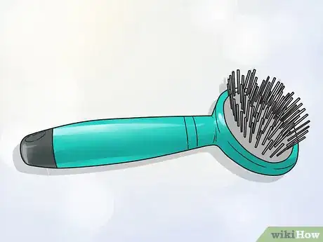 Image titled Groom a Greater Swiss Mountain Dog Step 4