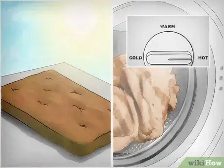 Image titled Get Rid of Bed Bugs Step 11