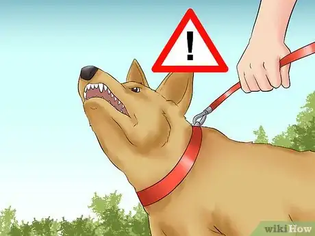 Image titled Train Teenager Stage Dogs Step 18