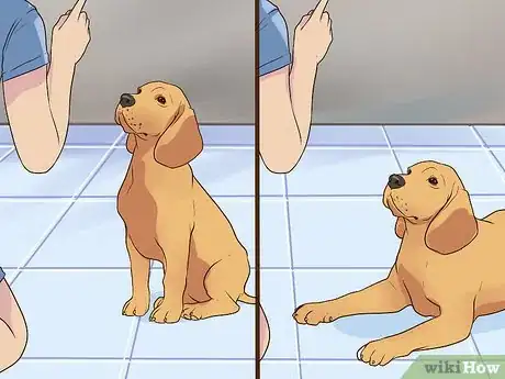 Image titled Introduce a Puppy to a Senior Dog Step 14
