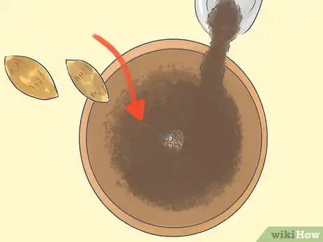 Image titled Grow a Queen Palm Step 3