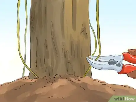 Image titled Prune a Quince Tree Step 13