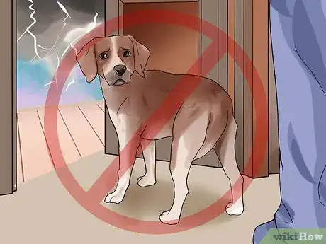 Image titled Help a Dog Overcome a Fear of Fireworks or Thunder Step 7