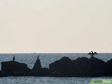 Image titled Find a Good Bass Fishing Spot Step 9