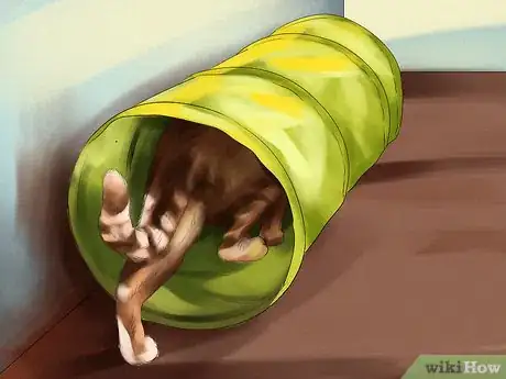 Image titled Encourage Your Cat's Hunting Instinct Step 2