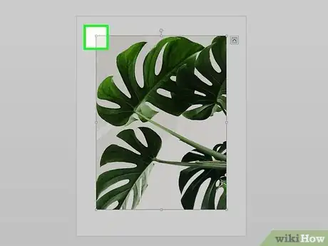 Image titled Add Images to a Microsoft Word Document Step 15