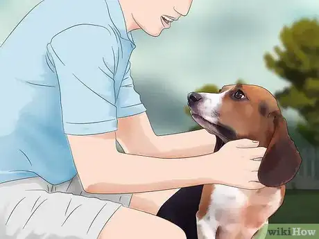 Image titled Stop Your Pets from Eating Cicadas Step 1