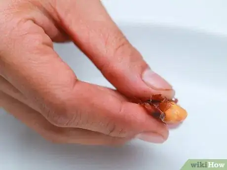 Image titled Make Almond Paste Step 4