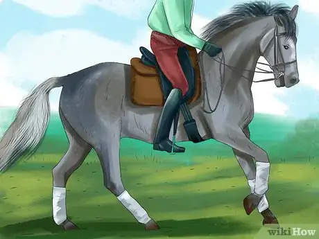 Image titled Ride an Icelandic Horse Step 6