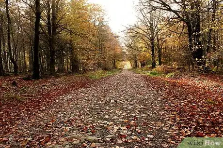 Image titled Have a Positive Attitude when Things Go Wrong Step 2