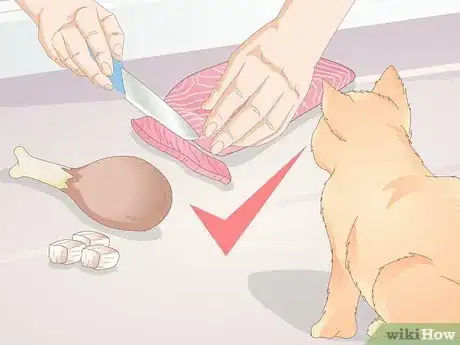 Image titled Buy Pet Training Supplies Step 16
