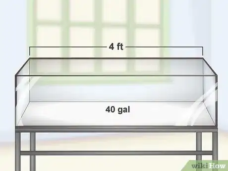 Image titled Keep Japanese Weather Loaches Step 1