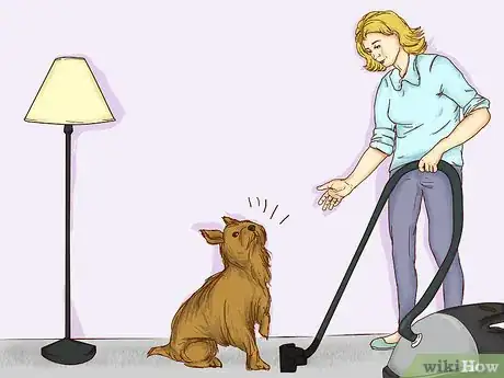 Image titled Teach Your Pet Not to be Scared of the Vacuum Cleaner Step 11