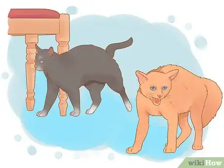 Image titled Keep a Pet When You Have Cats Step 1