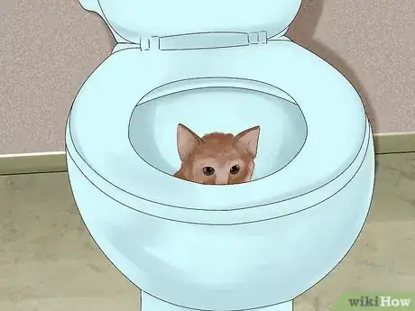 Image titled Prevent an Energetic Kitten from Hurting Itself Step 5