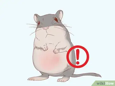 Image titled Diagnose Heart Failure in Gerbils Step 2
