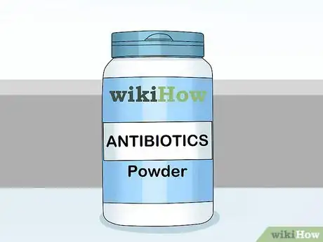 Image titled Treat Pneumonia in Doves Step 8