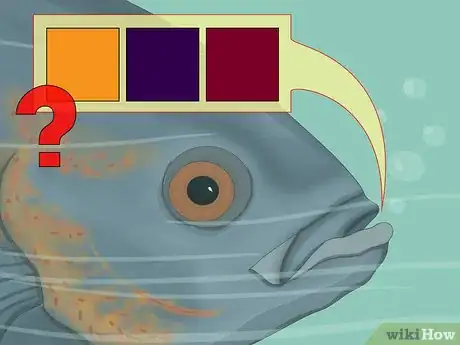 Image titled Use Color When Fly Fishing Step 6